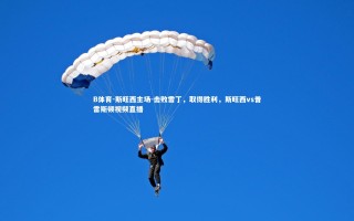 B体育-斯旺西主场-击败雷丁，取得胜利，斯旺西vs普雷斯顿视频直播