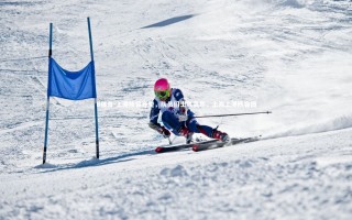 B体育-上港阵容齐整，队员们士气高昂，上海上港阵容图