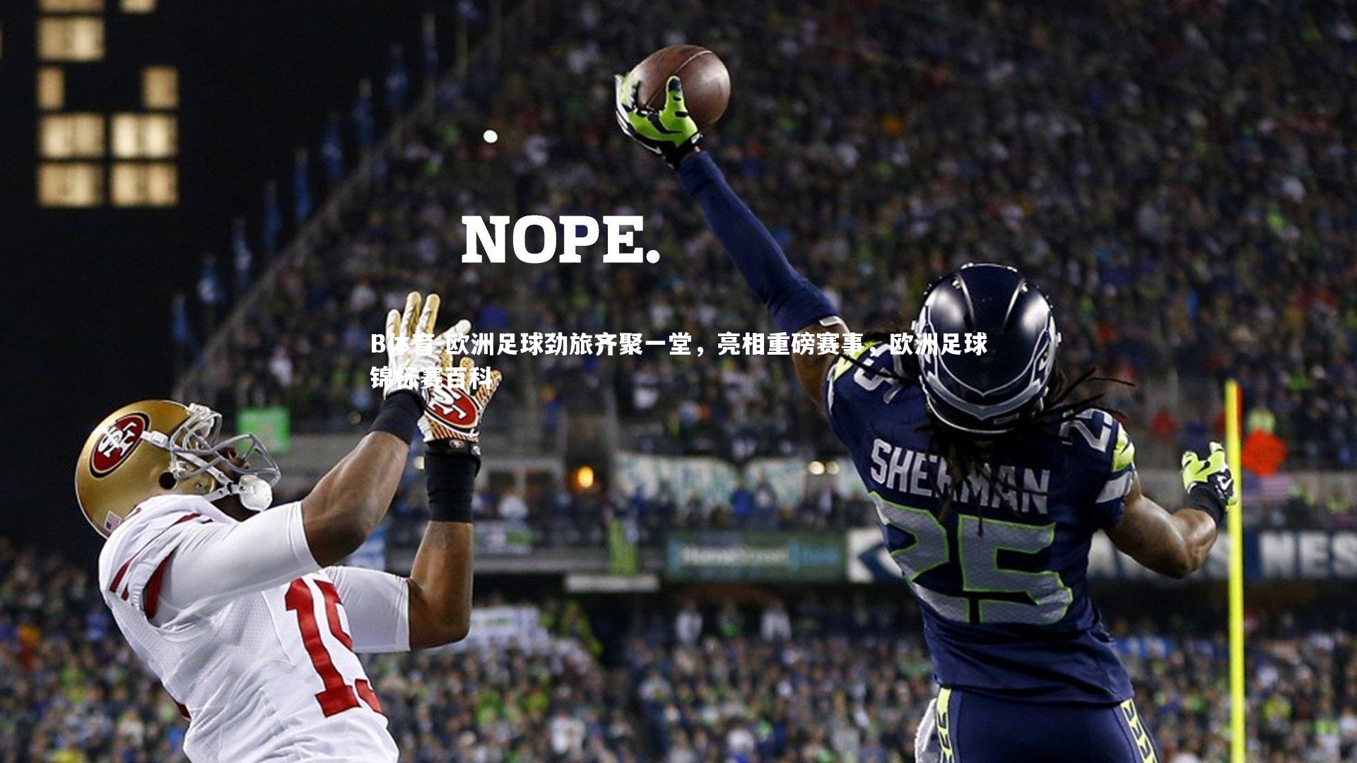 B体育-欧洲足球劲旅齐聚一堂，亮相重磅赛事，欧洲足球锦标赛百科-第1张图片-B体育